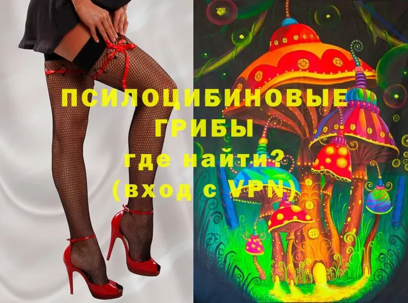 hydra ссылки  Волосово  Галлюциногенные грибы MAGIC MUSHROOMS 